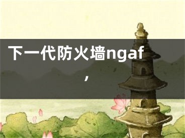 下一代防火墻ngaf,