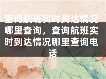 查詢航班實時到達情況哪里查詢，查詢航班實時到達情況哪里查詢電話