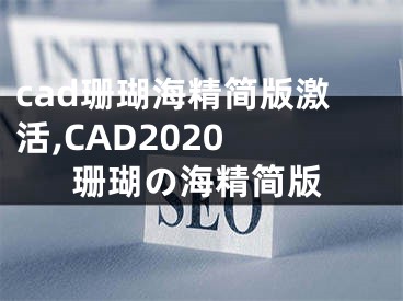 cad珊瑚海精簡(jiǎn)版激活,CAD2020 珊瑚の海精簡(jiǎn)版