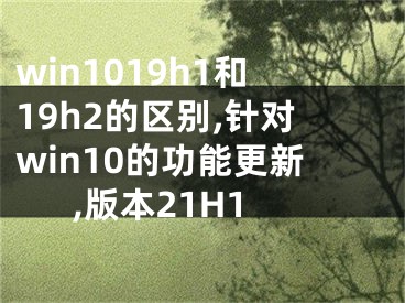 win1019h1和19h2的區(qū)別,針對win10的功能更新,版本21H1