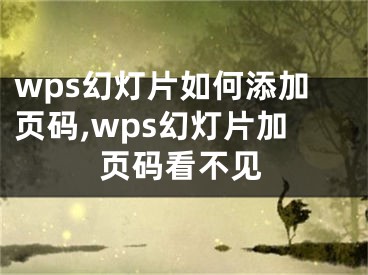 wps幻燈片如何添加頁碼,wps幻燈片加頁碼看不見