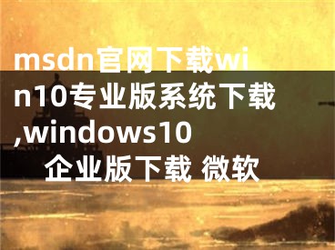 msdn官網(wǎng)下載win10專業(yè)版系統(tǒng)下載,windows10企業(yè)版下載 微軟