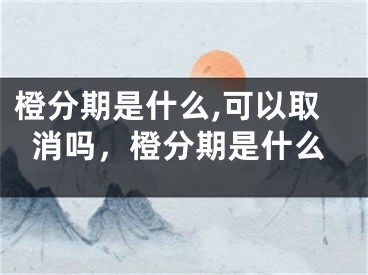 橙分期是什么,可以取消嗎，橙分期是什么