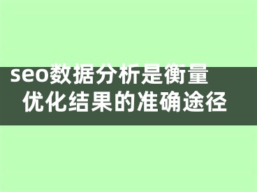 seo數(shù)據(jù)分析是衡量優(yōu)化結(jié)果的準(zhǔn)確途徑