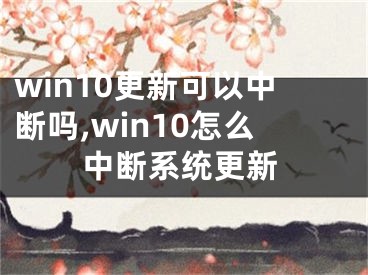 win10更新可以中斷嗎,win10怎么中斷系統(tǒng)更新