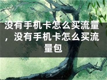 沒(méi)有手機(jī)卡怎么買流量，沒(méi)有手機(jī)卡怎么買流量包