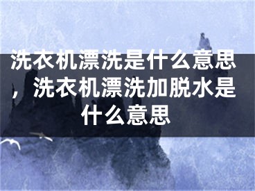 洗衣機漂洗是什么意思，洗衣機漂洗加脫水是什么意思