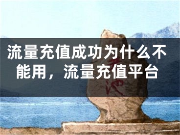 流量充值成功為什么不能用，流量充值平臺