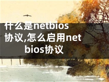 什么是netbios協(xié)議,怎么啟用netbios協(xié)議