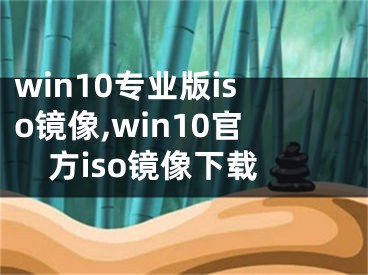 win10專業(yè)版iso鏡像,win10官方iso鏡像下載