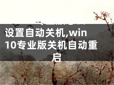 win10專業(yè)版怎么設置自動關機,win10專業(yè)版關機自動重啟