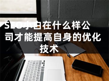 SEO小白在什么樣公司才能提高自身的優(yōu)化技術 