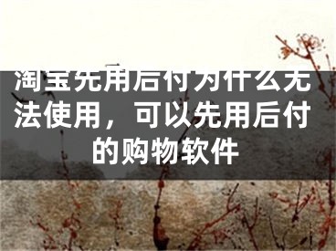 淘寶先用后付為什么無法使用，可以先用后付的購物軟件