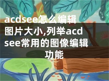 acdsee怎么編輯圖片大小,列舉acdsee常用的圖像編輯功能