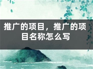 推廣的項(xiàng)目，推廣的項(xiàng)目名稱怎么寫