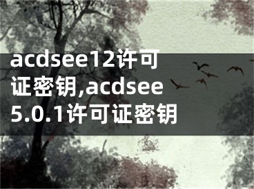 acdsee12許可證密鑰,acdsee5.0.1許可證密鑰