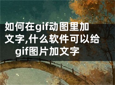 如何在gif動圖里加文字,什么軟件可以給gif圖片加文字