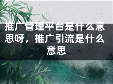 推廣管理平臺是什么意思呀，推廣引流是什么意思