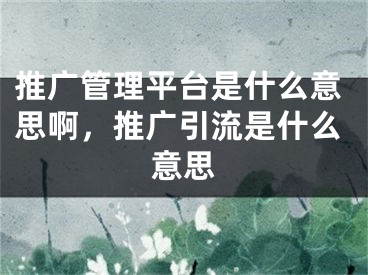 推廣管理平臺是什么意思啊，推廣引流是什么意思