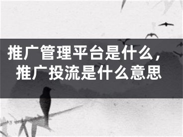 推廣管理平臺是什么，推廣投流是什么意思