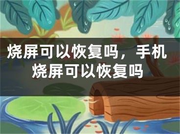 燒屏可以恢復嗎，手機燒屏可以恢復嗎