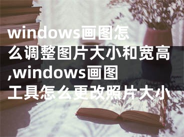 windows畫圖怎么調整圖片大小和寬高,windows畫圖工具怎么更改照片大小