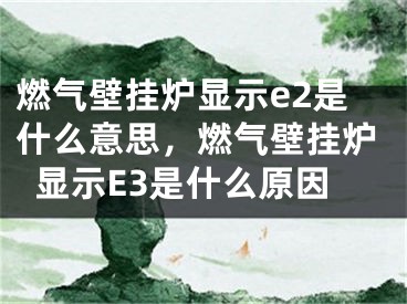 燃?xì)獗趻鞝t顯示e2是什么意思，燃?xì)獗趻鞝t顯示E3是什么原因