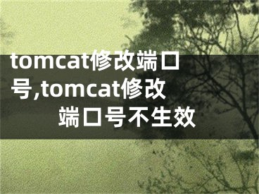 tomcat修改端口號,tomcat修改端口號不生效