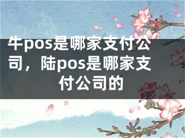 牛pos是哪家支付公司，陸pos是哪家支付公司的