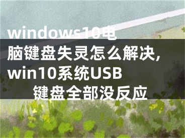 windows10電腦鍵盤失靈怎么解決,win10系統(tǒng)USB鍵盤全部沒反應