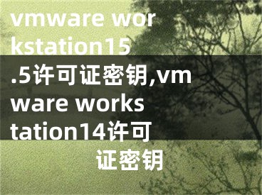 vmware workstation15.5許可證密鑰,vmware workstation14許可證密鑰