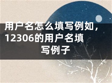 用戶名怎么填寫例如，12306的用戶名填寫例子