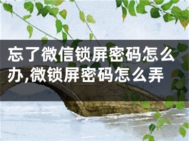 忘了微信鎖屏密碼怎么辦,微鎖屏密碼怎么弄