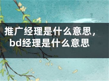 推廣經(jīng)理是什么意思，bd經(jīng)理是什么意思