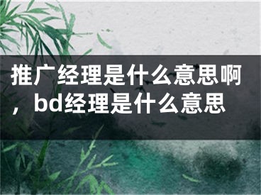 推廣經理是什么意思啊，bd經理是什么意思