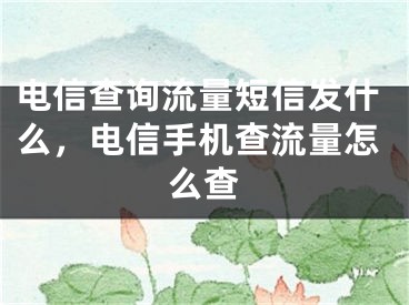 電信查詢流量短信發(fā)什么，電信手機(jī)查流量怎么查