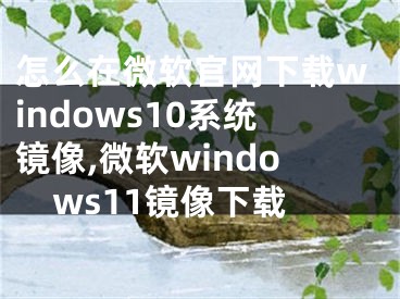 怎么在微軟官網(wǎng)下載windows10系統(tǒng)鏡像,微軟windows11鏡像下載