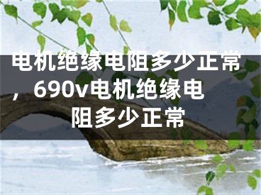 電機(jī)絕緣電阻多少正常，690v電機(jī)絕緣電阻多少正常