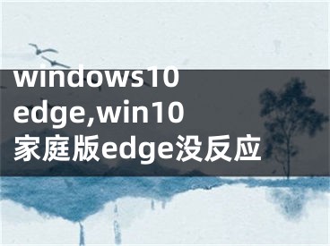 windows10 edge,win10家庭版edge沒反應(yīng)