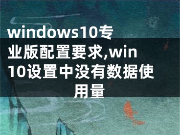 windows10專業(yè)版配置要求,win10設(shè)置中沒有數(shù)據(jù)使用量