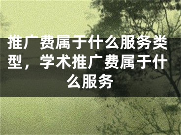 推廣費(fèi)屬于什么服務(wù)類(lèi)型，學(xué)術(shù)推廣費(fèi)屬于什么服務(wù)