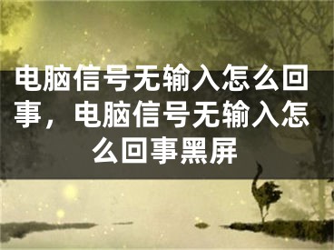 電腦信號(hào)無(wú)輸入怎么回事，電腦信號(hào)無(wú)輸入怎么回事黑屏