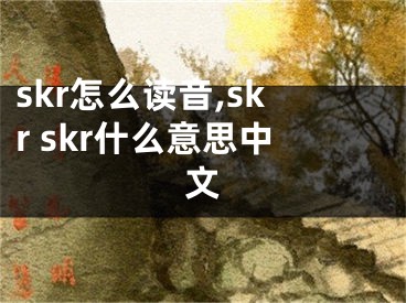 skr怎么讀音,skr skr什么意思中文