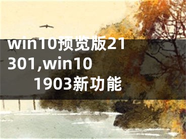 win10預(yù)覽版21301,win10 1903新功能