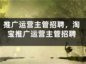 推廣運(yùn)營主管招聘，淘寶推廣運(yùn)營主管招聘