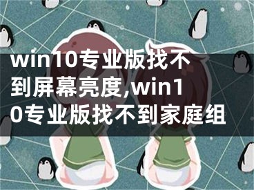 win10專業(yè)版找不到屏幕亮度,win10專業(yè)版找不到家庭組