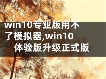 win10專(zhuān)業(yè)版用不了模擬器,win10體驗(yàn)版升級(jí)正式版