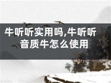 牛聽聽實用嗎,牛聽聽音質(zhì)牛怎么使用