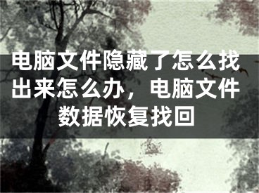 電腦文件隱藏了怎么找出來怎么辦，電腦文件數(shù)據(jù)恢復找回