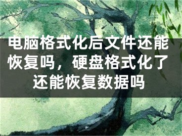 電腦格式化后文件還能恢復(fù)嗎，硬盤(pán)格式化了還能恢復(fù)數(shù)據(jù)嗎